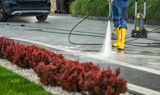 Best Roof Power Washing Services  in Melrose, MA